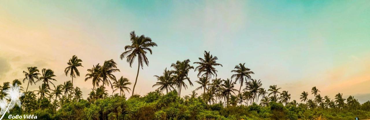 Coco Villa - 3 Bhk Private Sea View Villa With Garden Sancoale エクステリア 写真